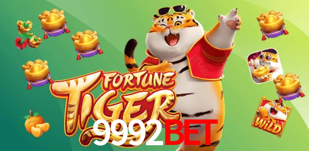 Experiência VIP 9992Bet